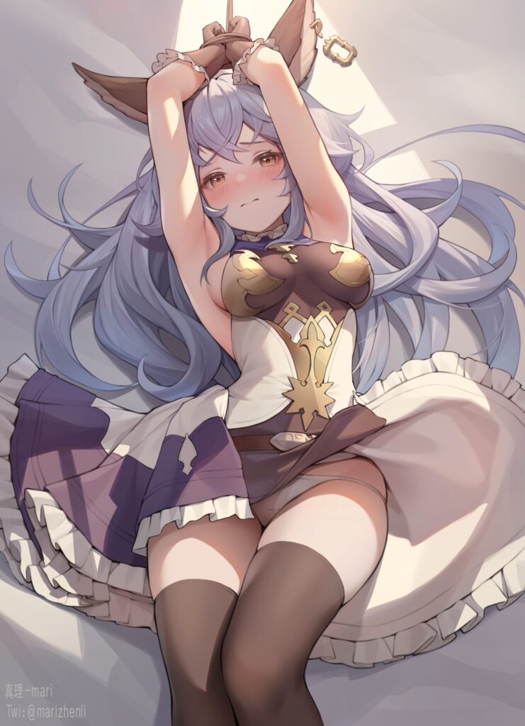 ニーソの画像フォルダを公開する！