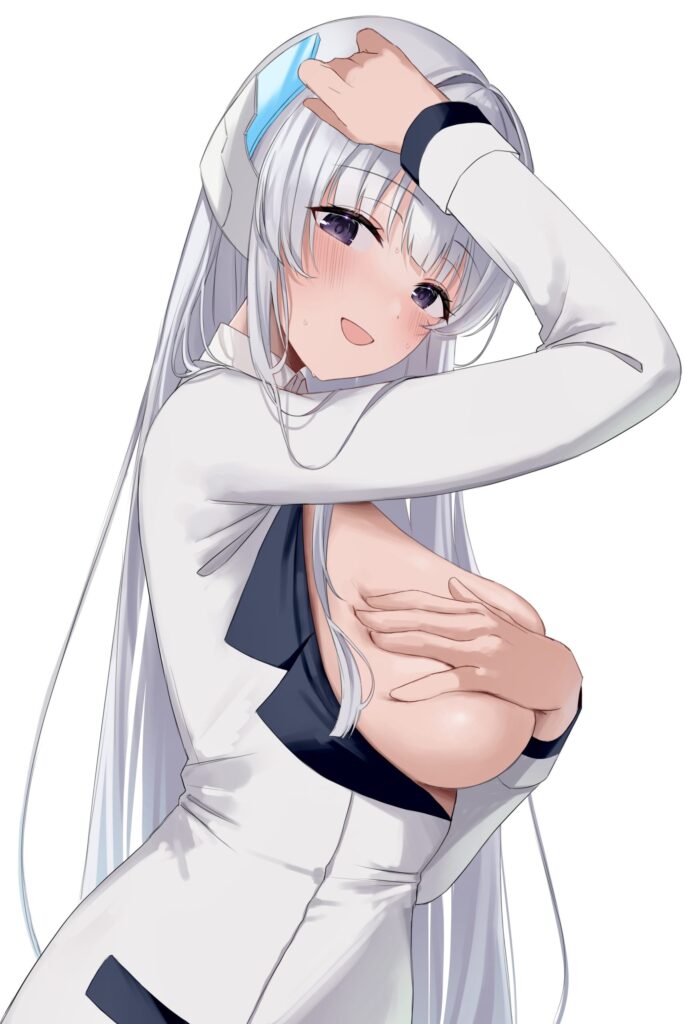 脱ぎかけの二次エロ画像を愛でる。