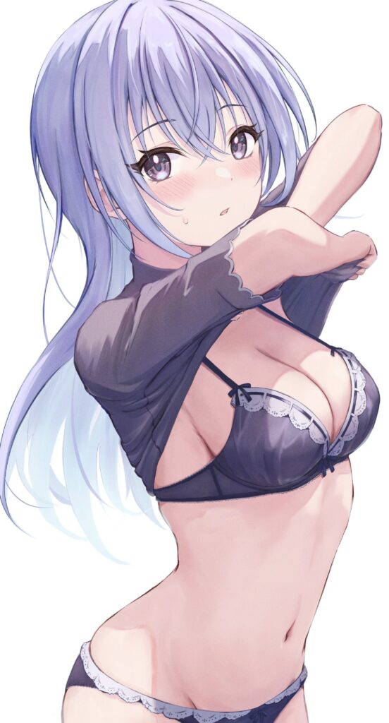 脱ぎかけの二次エロ画像を愛でる。