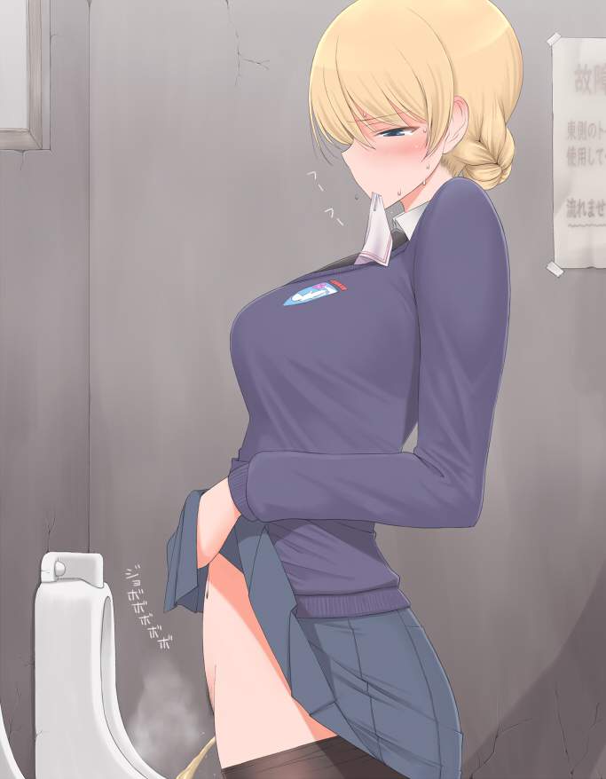 トイレの二次エロ画像を愛でる。