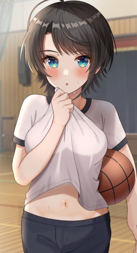 体操服・ブルマでしこれる二次画像ください！