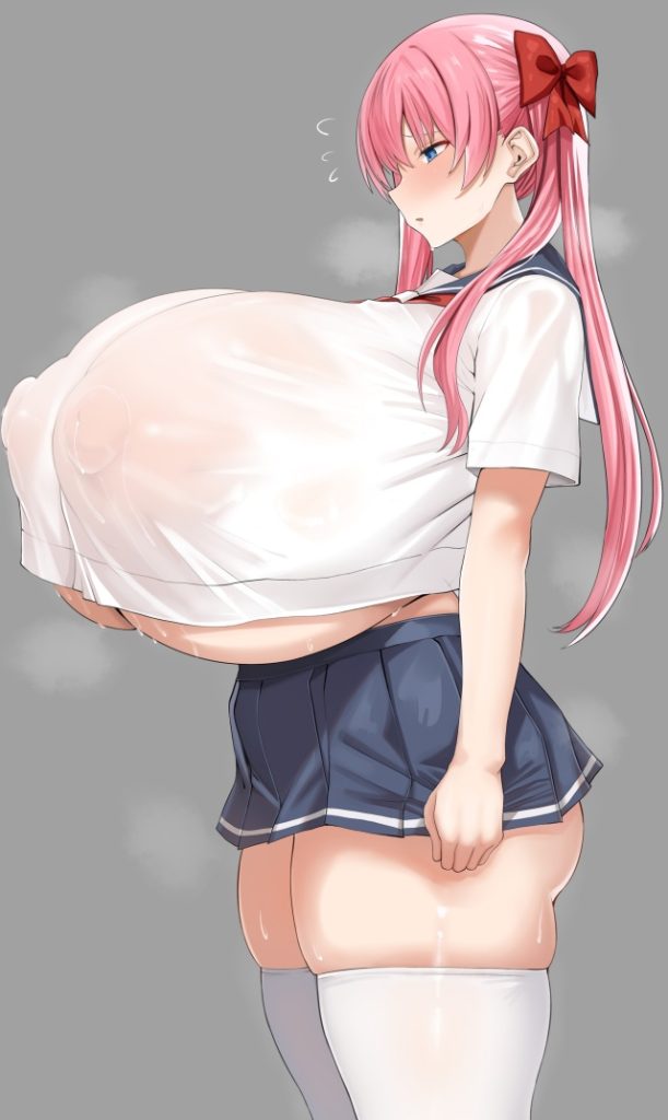 ムチムチの二次エロ画像まとめ