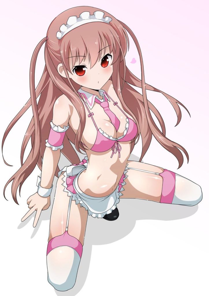 メイドの二次元エロ画像。