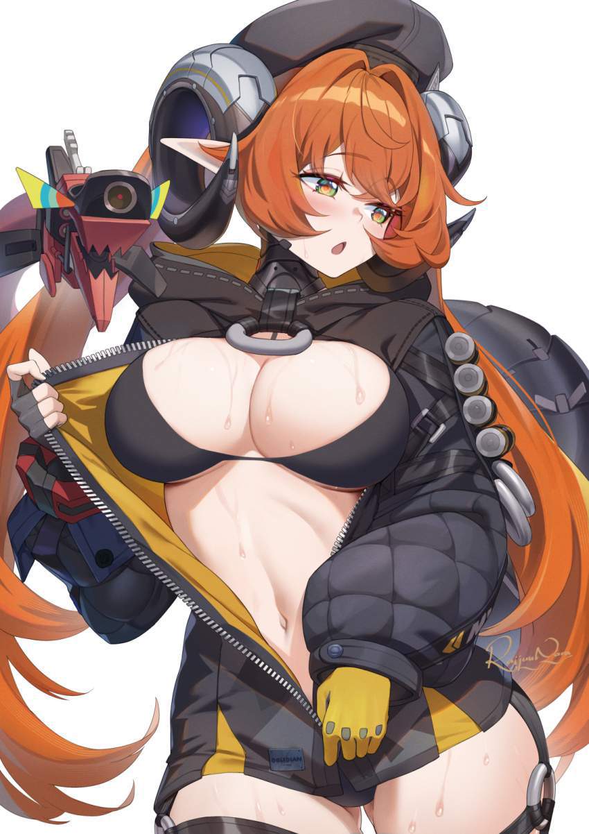 ゼンレスゾーンゼロのエロい画像