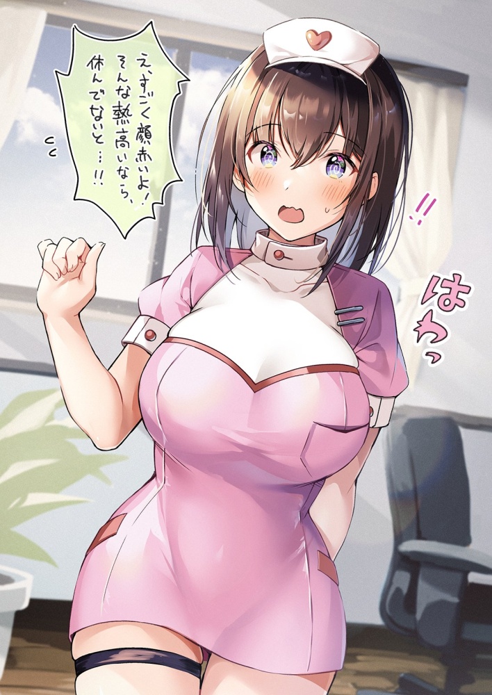 ナースの二次フェチ画像。