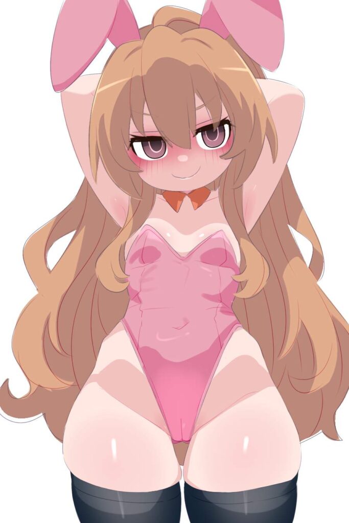 とらドラ！の選り抜き画像♪