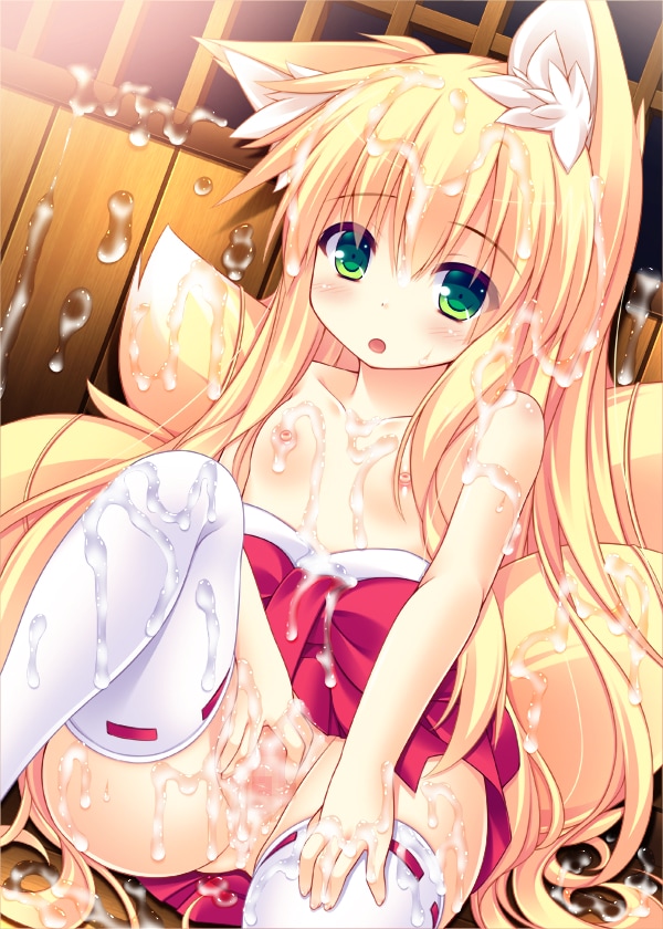 和服・浴衣の画像倉庫がここです！