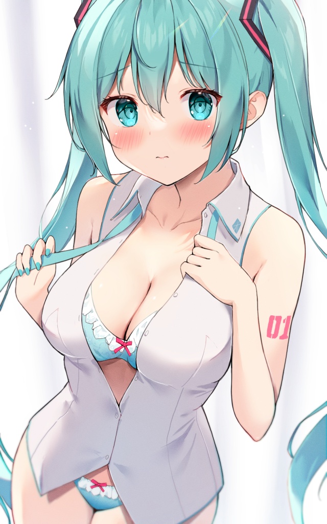 ボーカロイドのエロ画像でヌきたい奴らは集まれ！