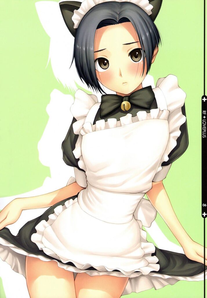 メイドのエロ同人のようにドチャシコできる画像集