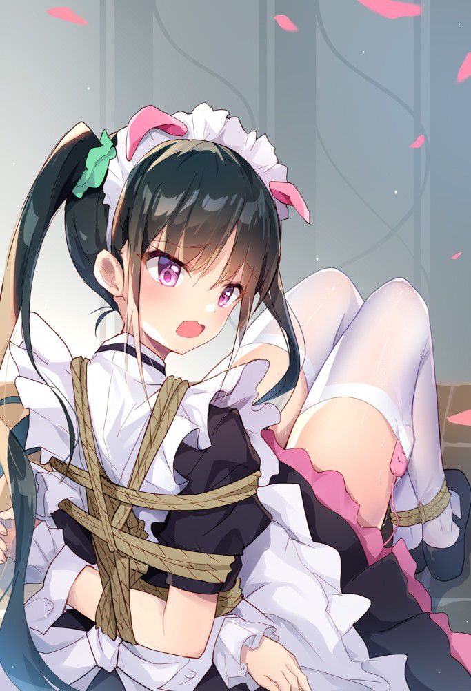 メイドのエロ同人のようにドチャシコできる画像集