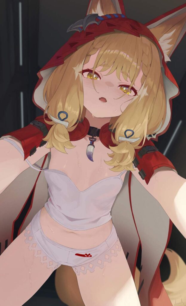 俺のとっておきのアークナイツの画像フォルダを見せる