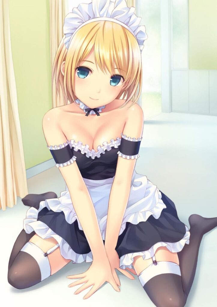 メイドのエロ同人のようにドチャシコできる画像集