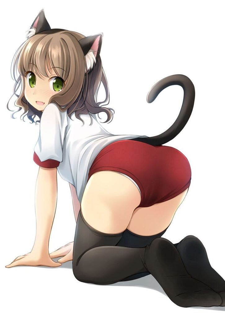 体操服・ブルマのエッチな魅力が分かるエロ画像