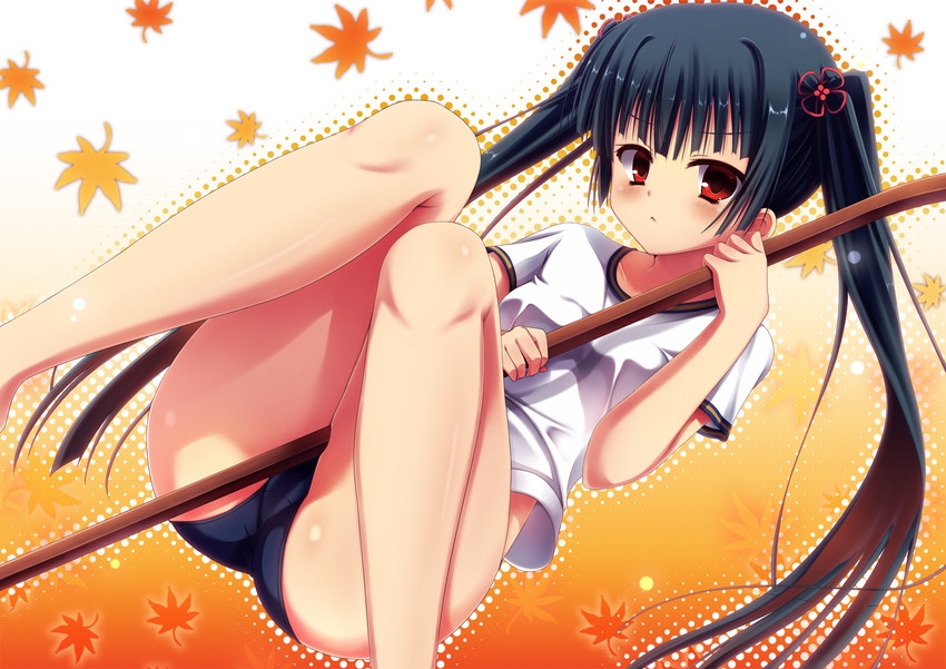 体操服・ブルマの二次元エロ画像。