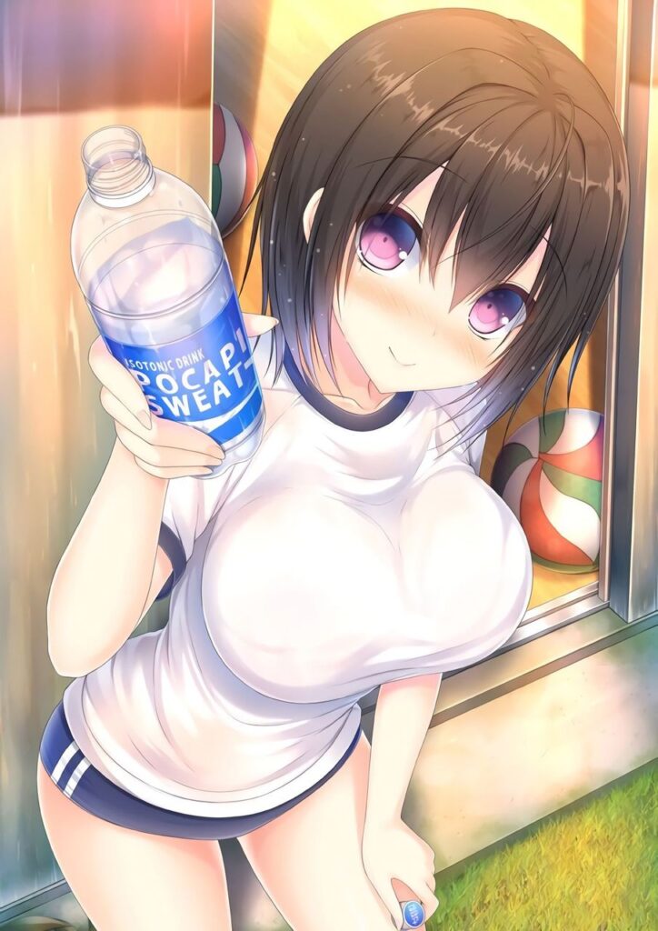 体操服・ブルマの二次元エロ画像。