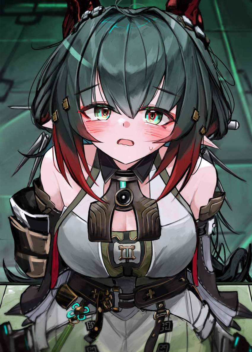 アークナイツの画像倉庫がここです!