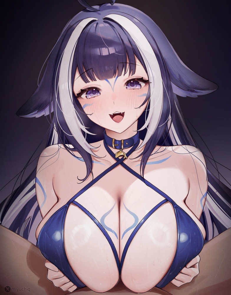 首輪の画像倉庫がここです！