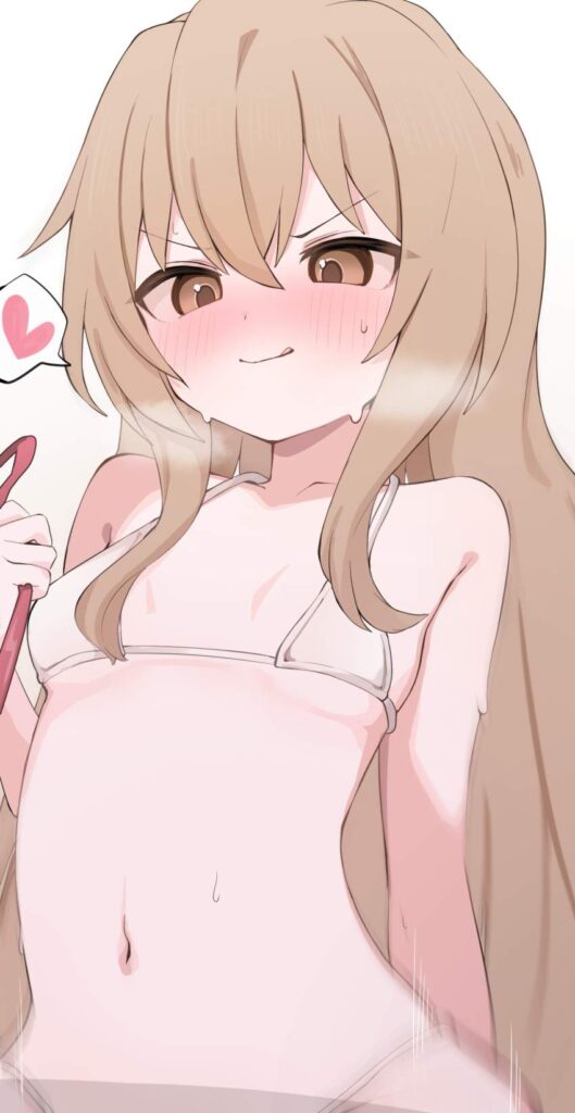 とらドラ！のエロ画像下さい！