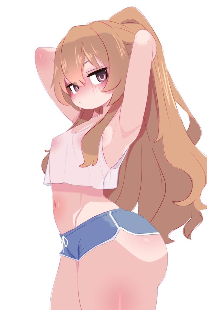 とらドラ！のエロ画像下さい！