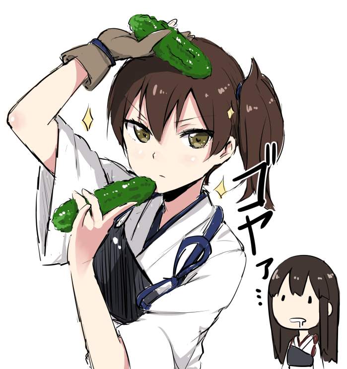 異物挿入のエロ＆萌え画像まとめ！