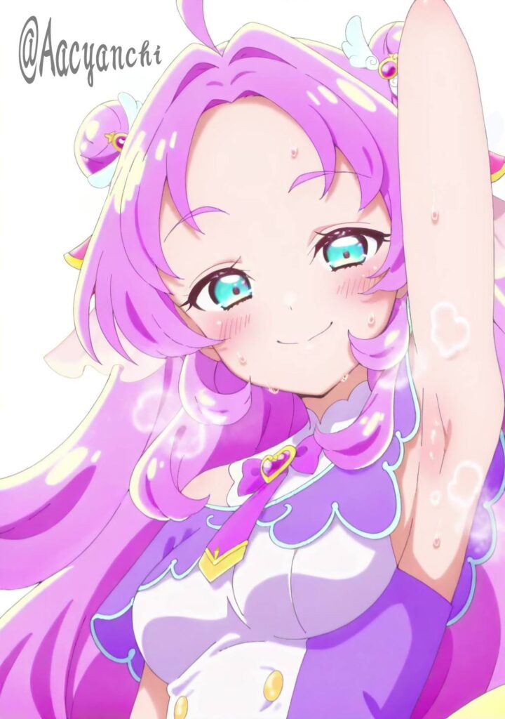 プリキュアのエロ画像がほしい！