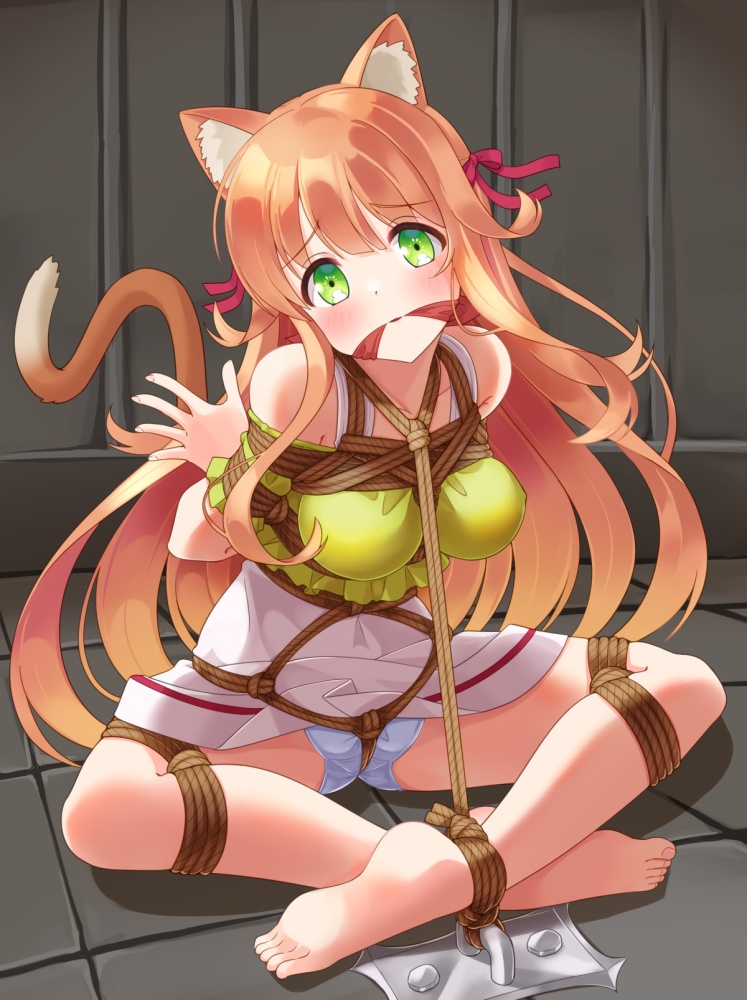 拘束のエロ画像で抜きたくなったから貼ってくよ
