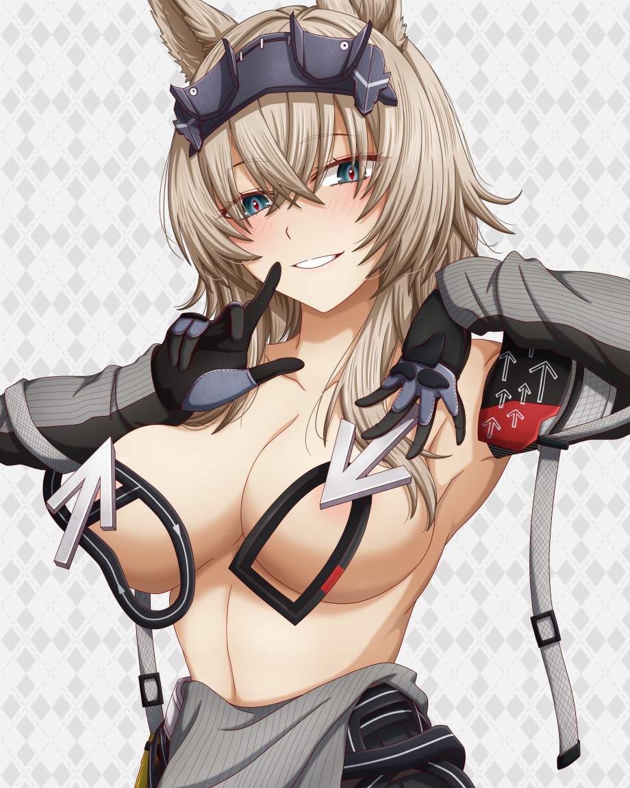 アークナイツの二次エロ画像を愛でる。