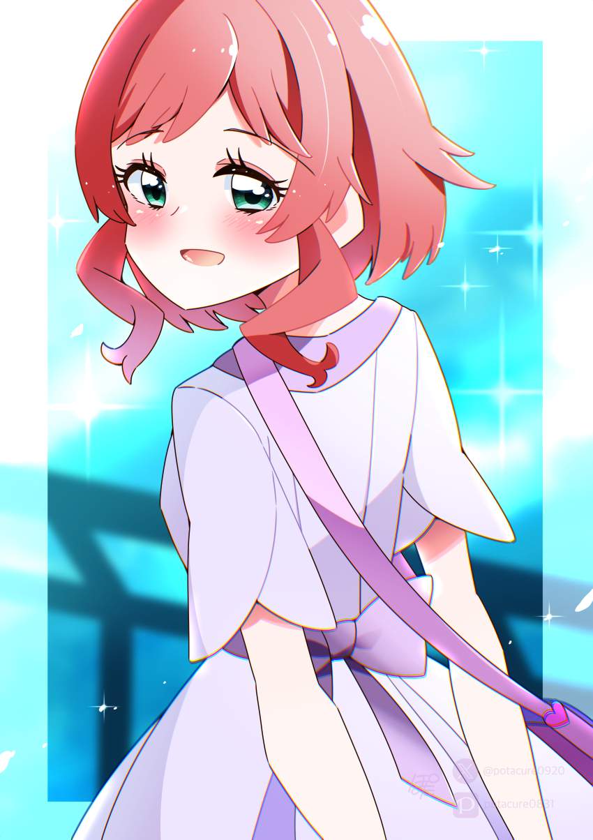 わんだふるぷりきゅあ!のえっちなやつ