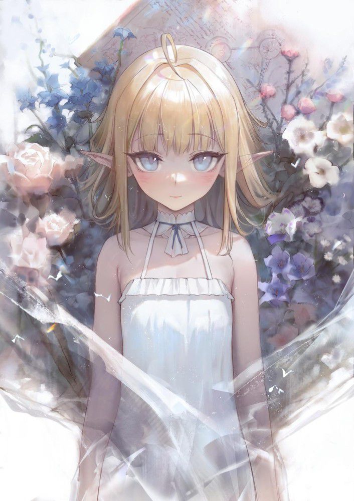 威力バツグンなエルフの二次エロ画像詰め合わせ
