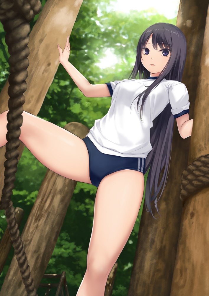 体操服・ブルマの魅力についてエロ画像で検証