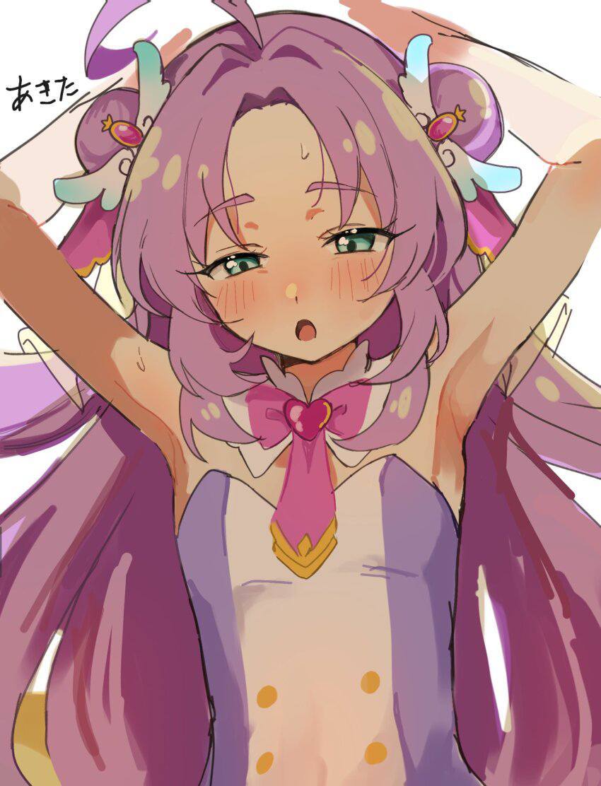プリキュアのエロ画像下さい