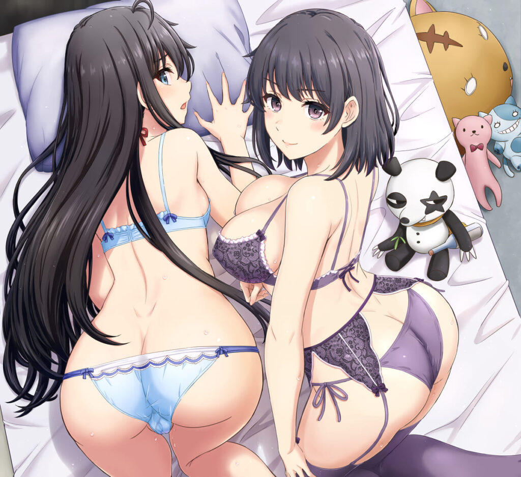 やはり俺の青春ラブコメはまちがっている。のエロ画像なんです!