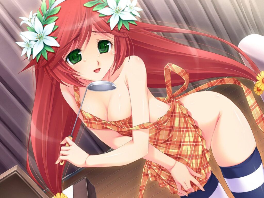 裸エプロンのよさを痛感できるエロ画像ください