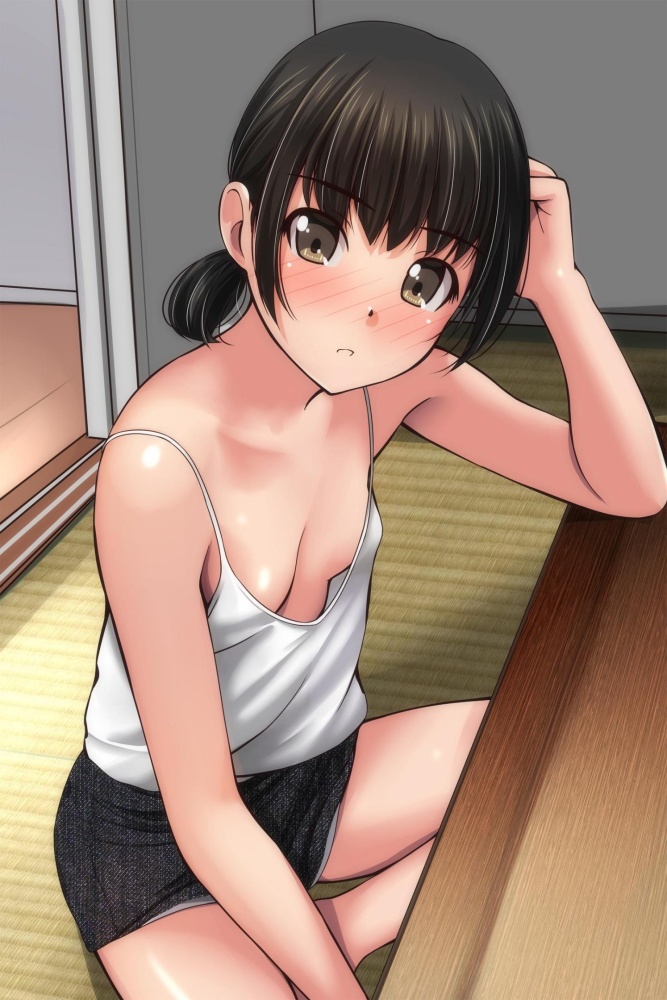 胸チラの二次エロ画像を愛でる。