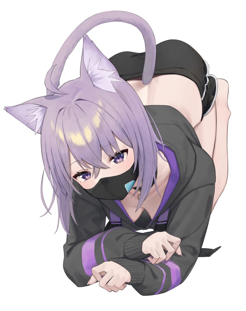 胸チラの二次エロ画像を愛でる。