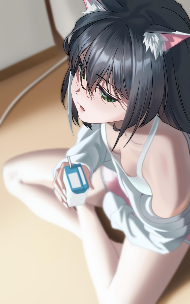 胸チラの二次エロ画像を愛でる。