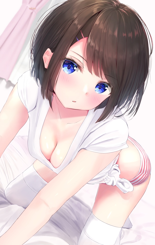 胸チラの二次エロ画像を愛でる。