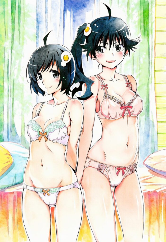 物語シリーズの画像倉庫がここです！