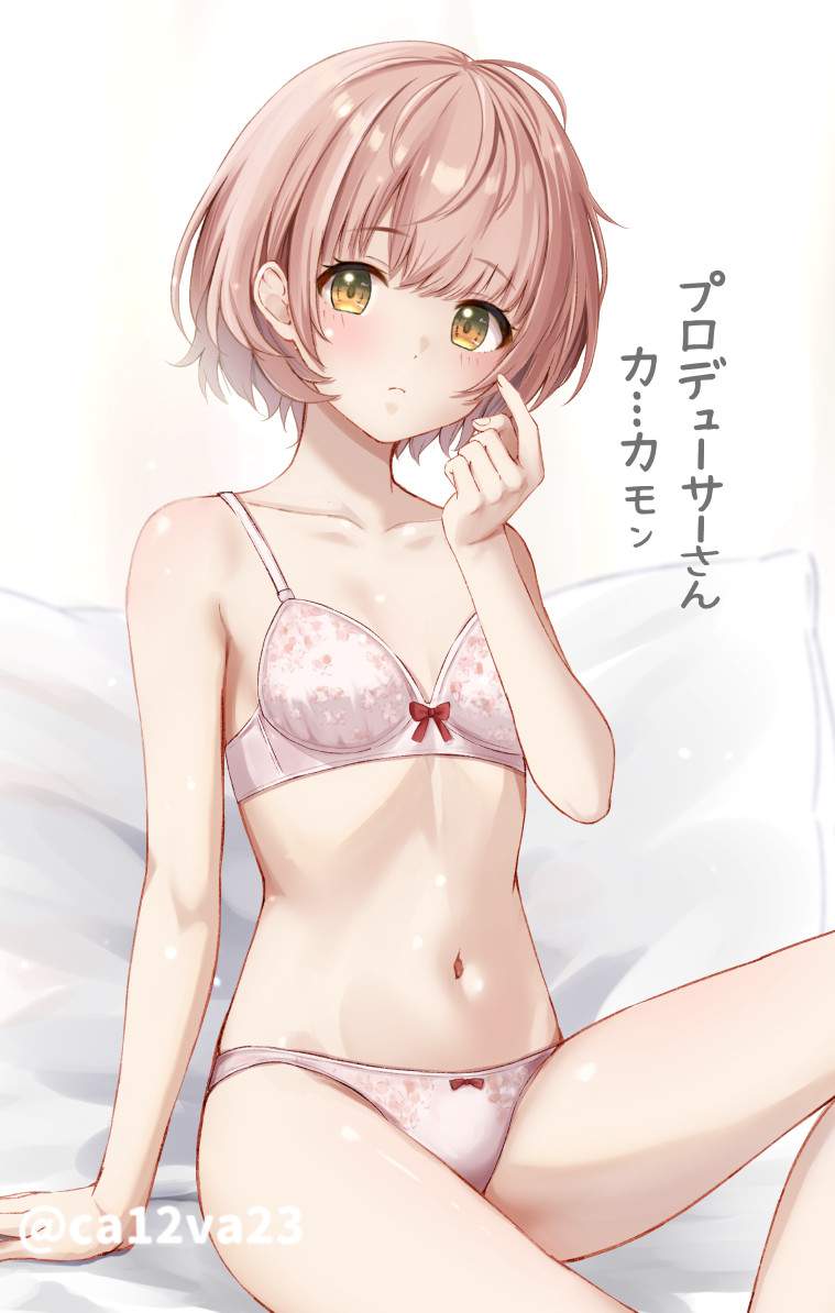 ブラジャーの画像ください