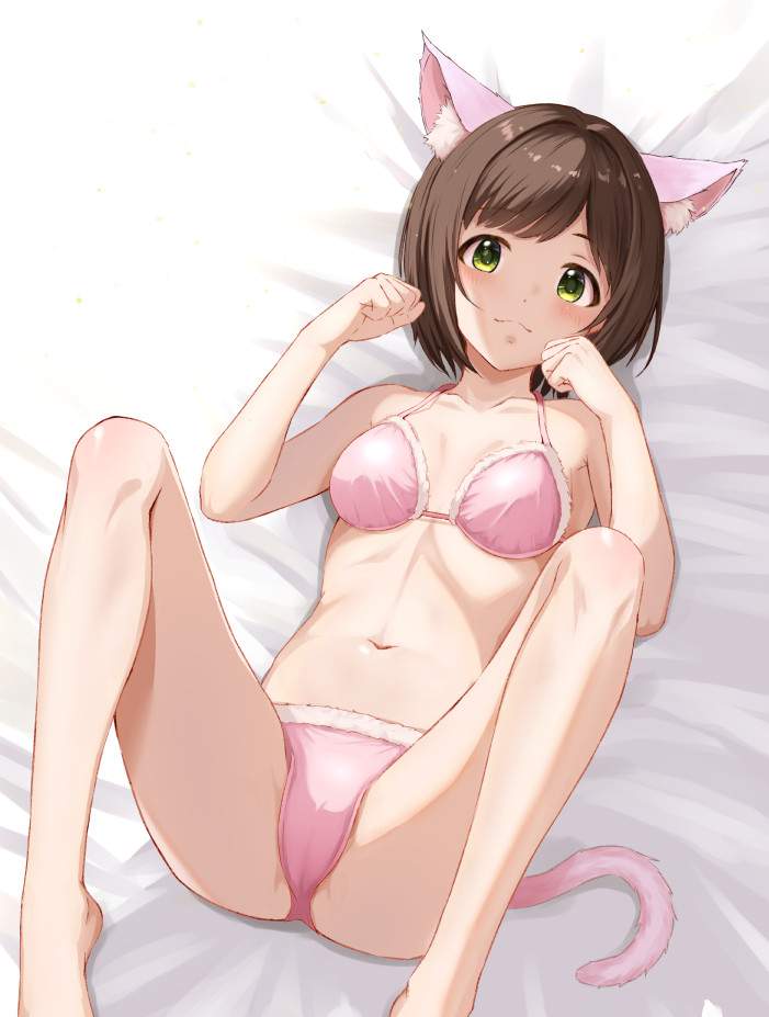 ブラジャーの画像ください