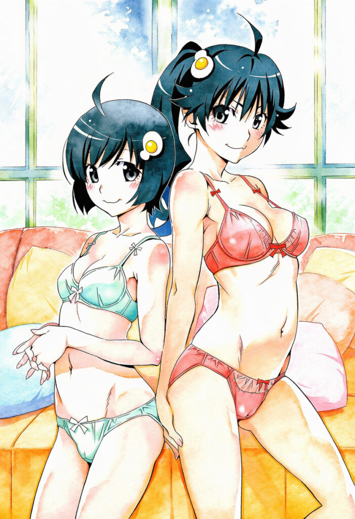 物語シリーズの画像倉庫がここです！