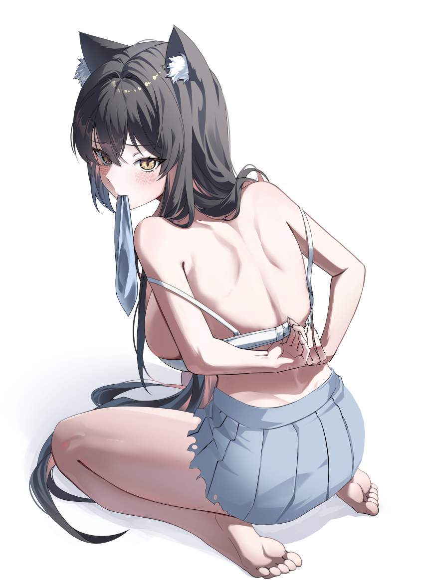 ブラジャーを期待する人が集まる画像倉庫。
