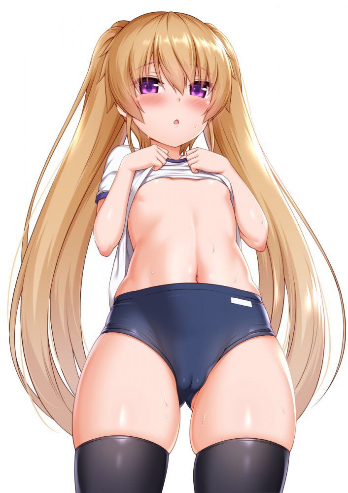 【二次】体操服・ブルマのメチャシコで可愛い女の子のエッチな画像