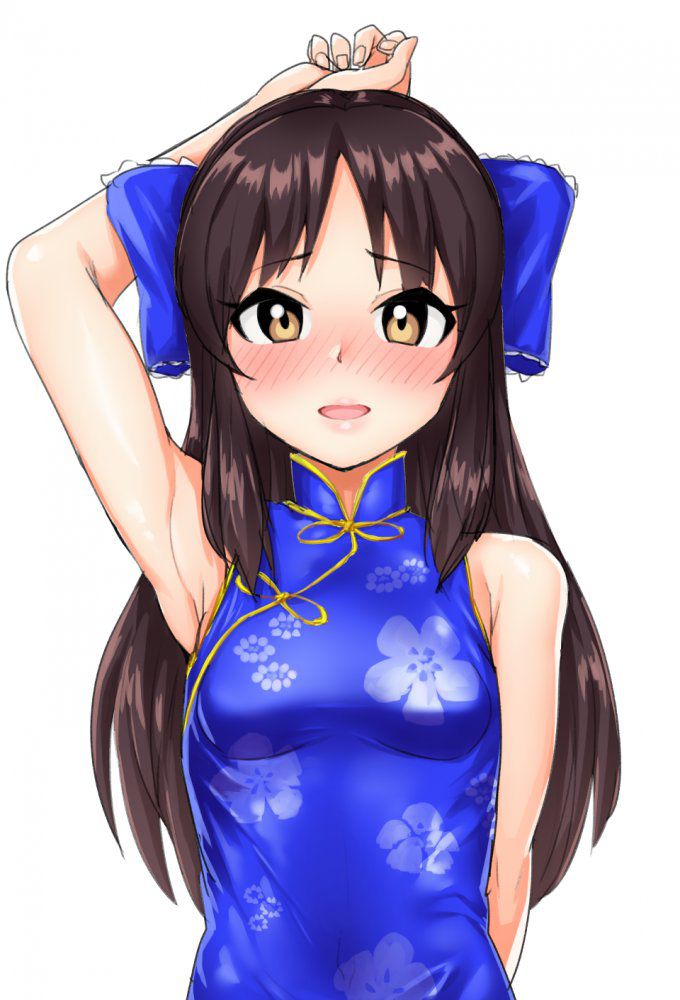 チャイナドレスの二次画像がヌけすぎてこまる件について