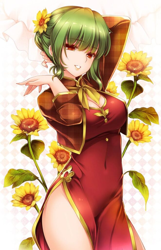 チャイナドレスの二次エロ画像