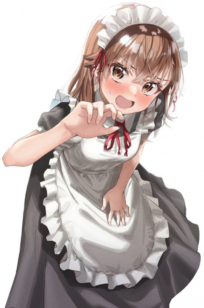 メイドの二次エロ画像を愛でる。