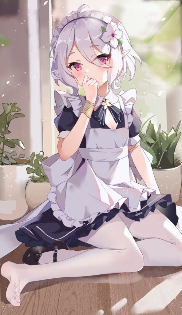メイドの二次エロ画像を愛でる。