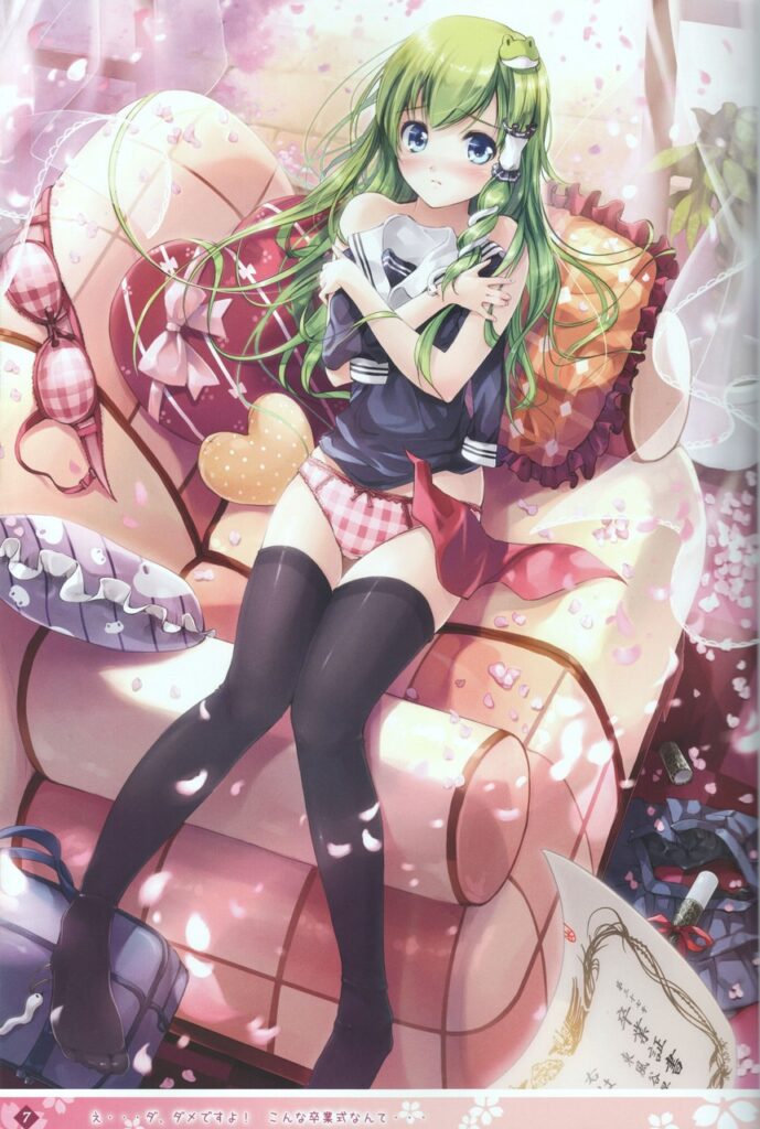 脱ぎかけの二次エロ画像を愛でる。