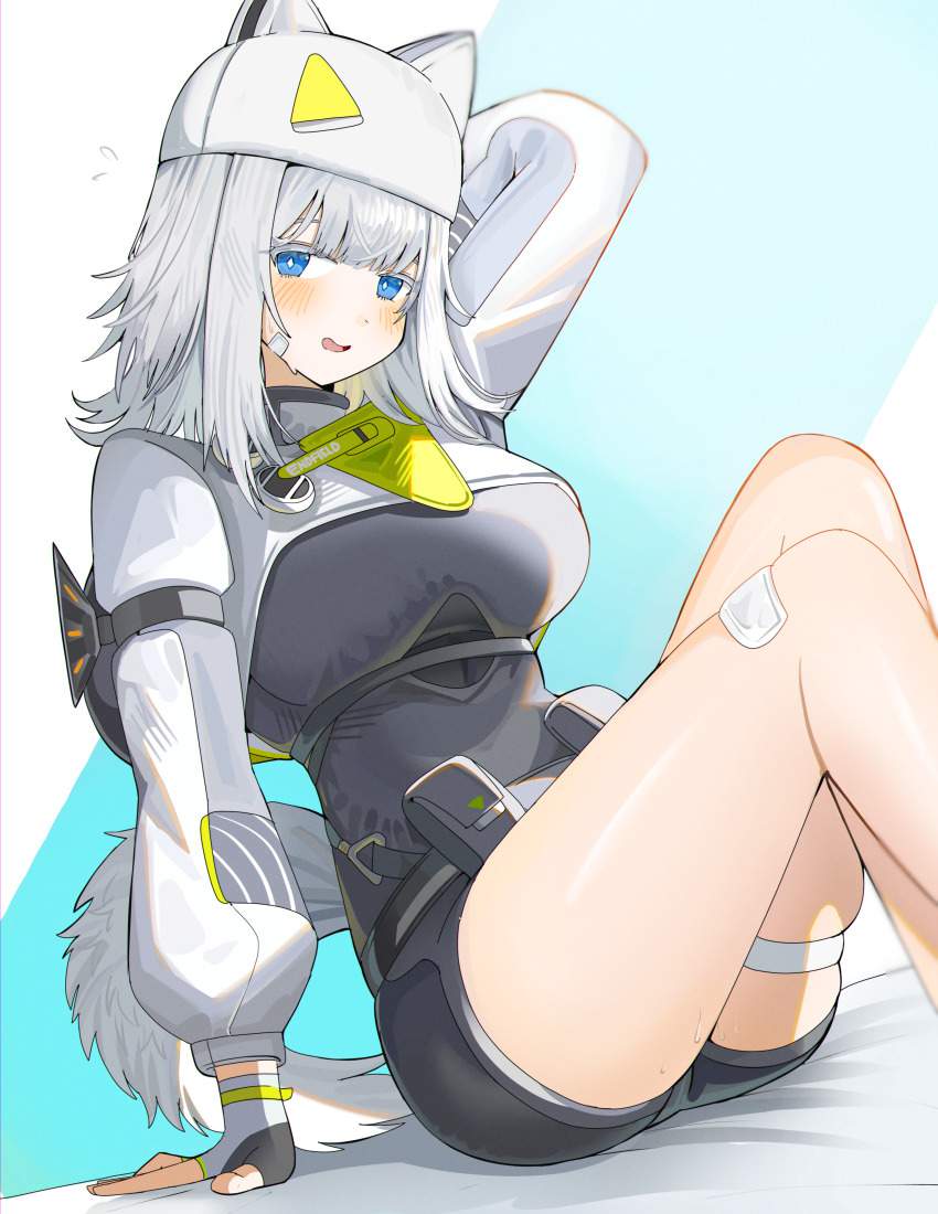 アークナイツのエロ画像集めてみた