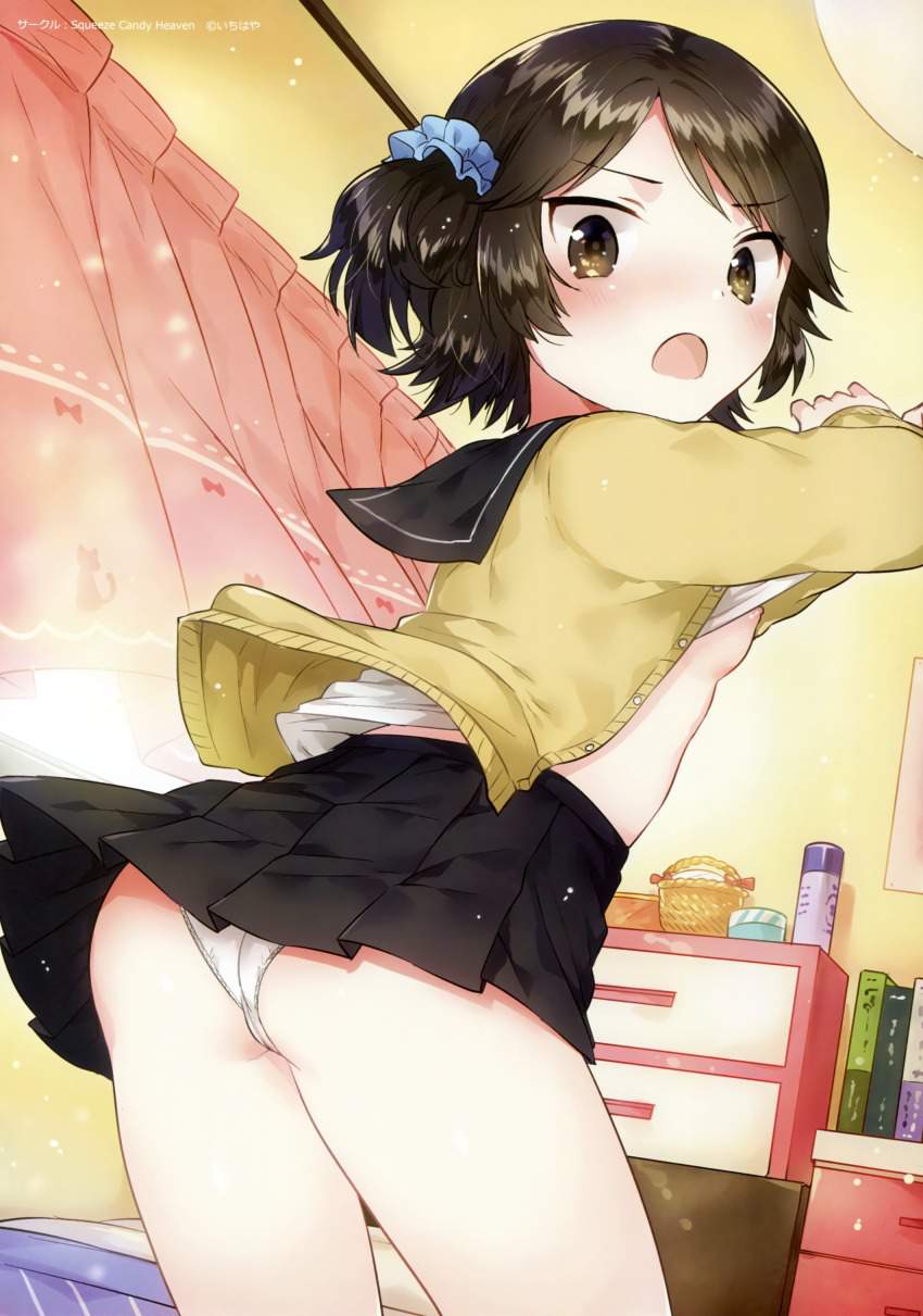 パンチラのエロ画像 12